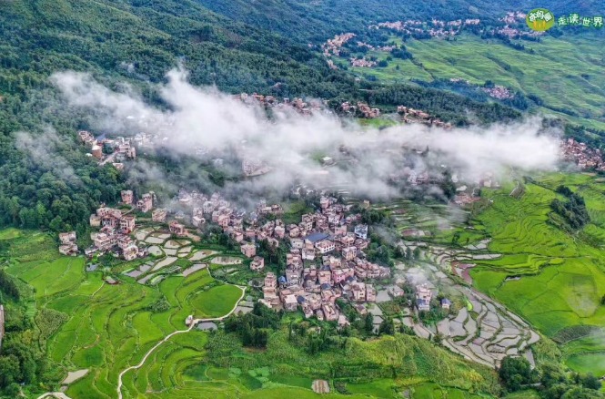 哈尼梯田红米为什么营养高？