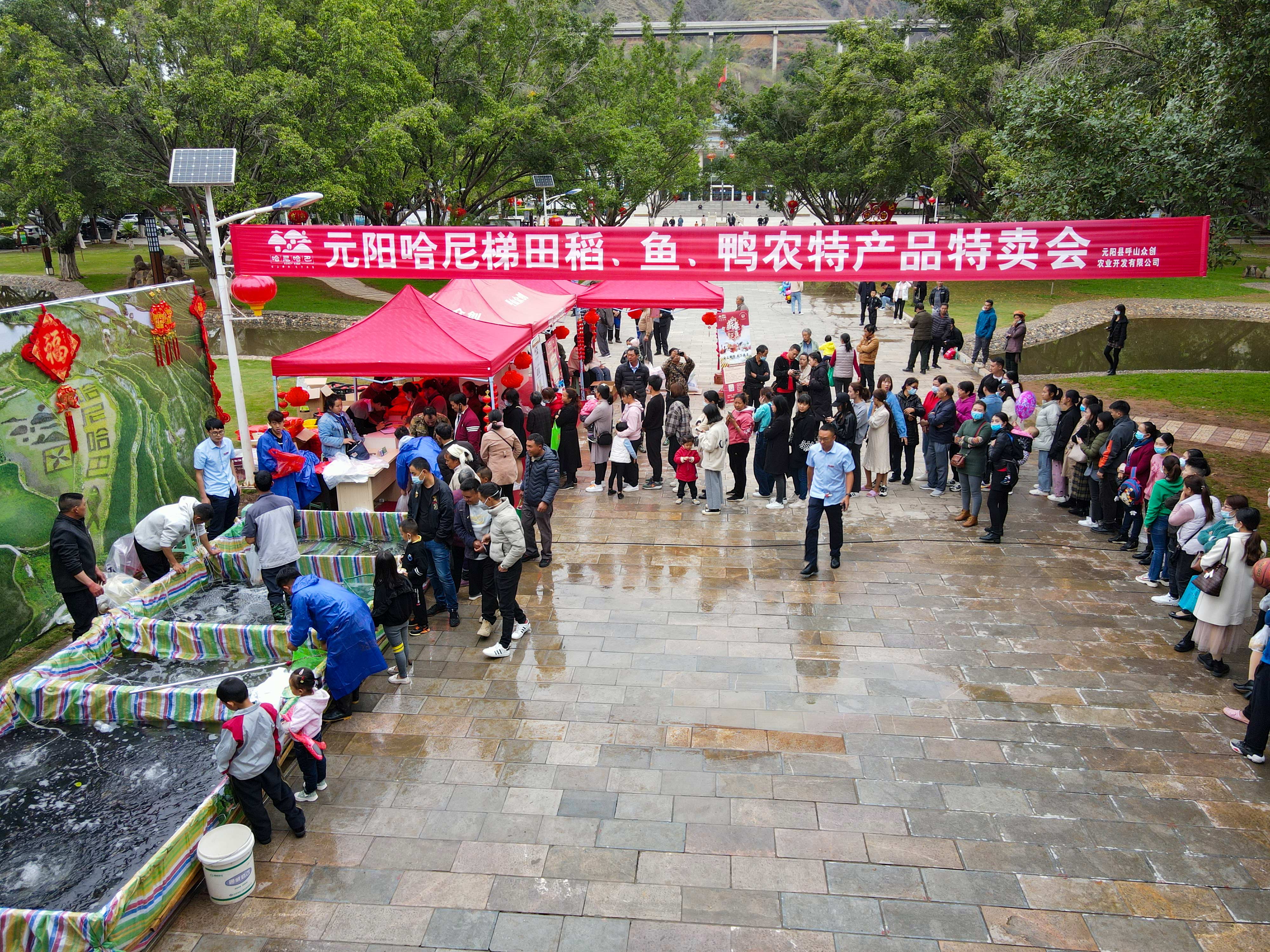 元阳哈尼梯田稻鱼鸭农特产品特卖会（一）