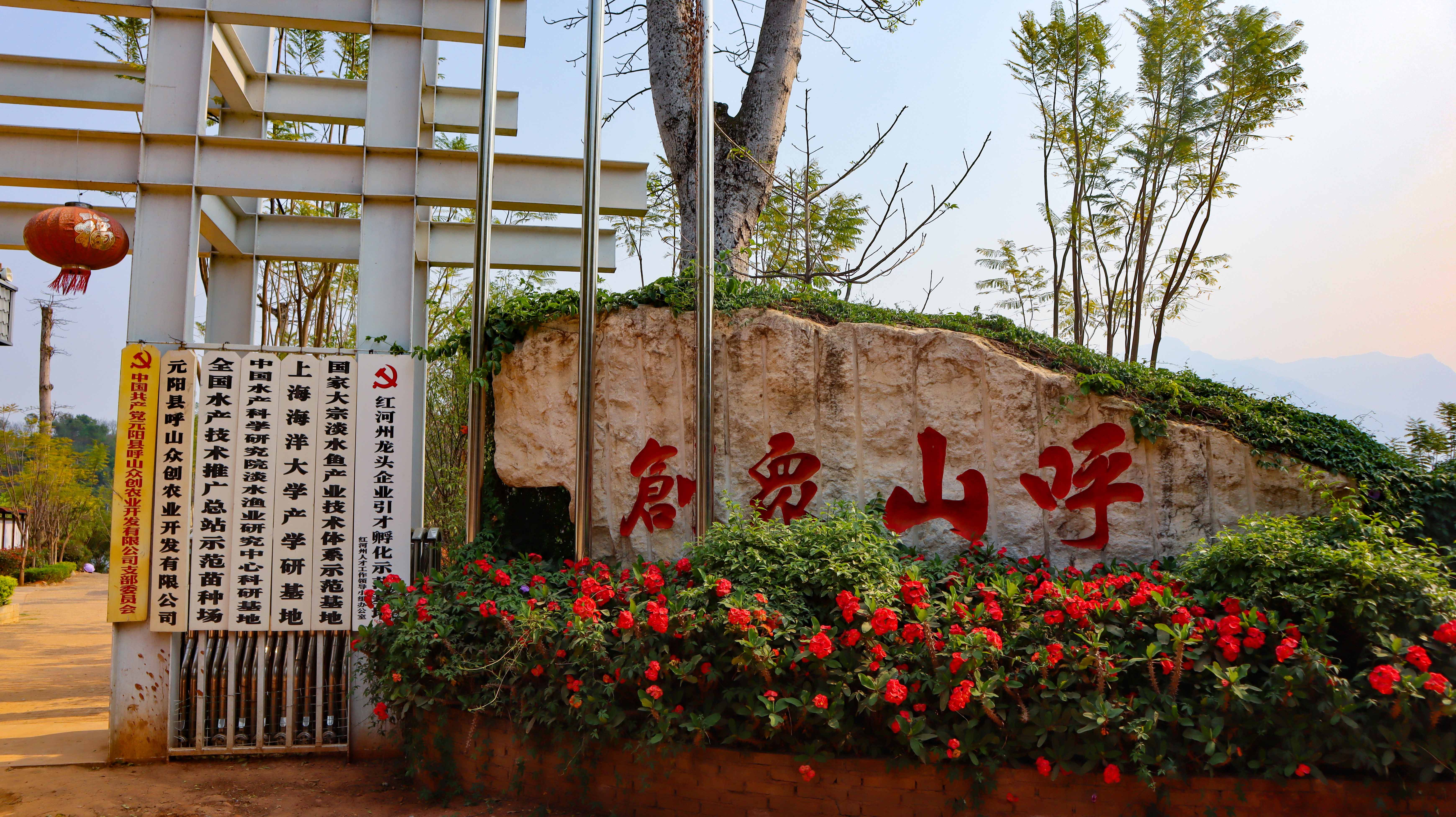 保护哈尼梯田，呼山众创在行动