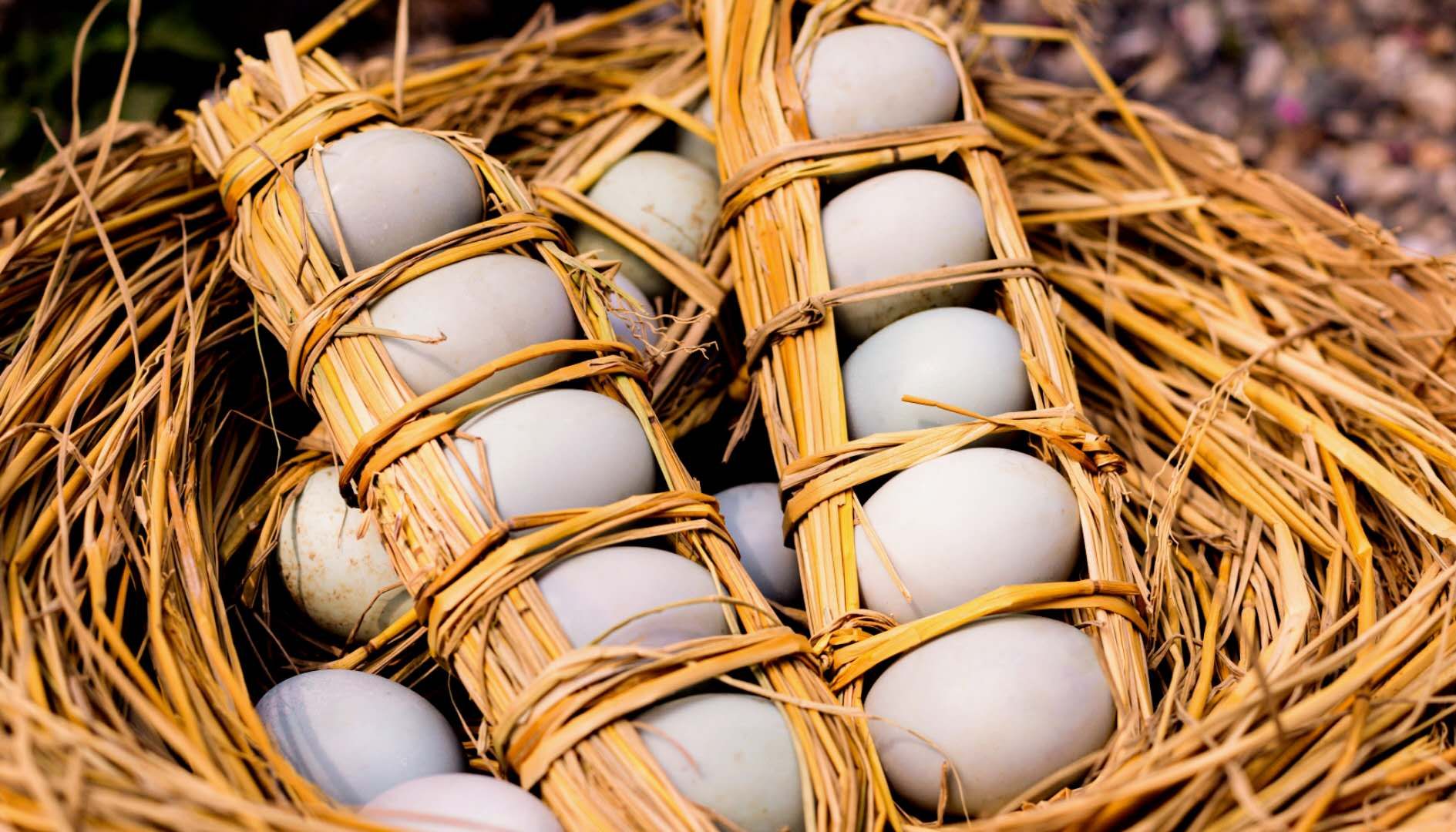 哈尼哈巴 | “稻鱼鸭”综合种养模式下的鸭蛋