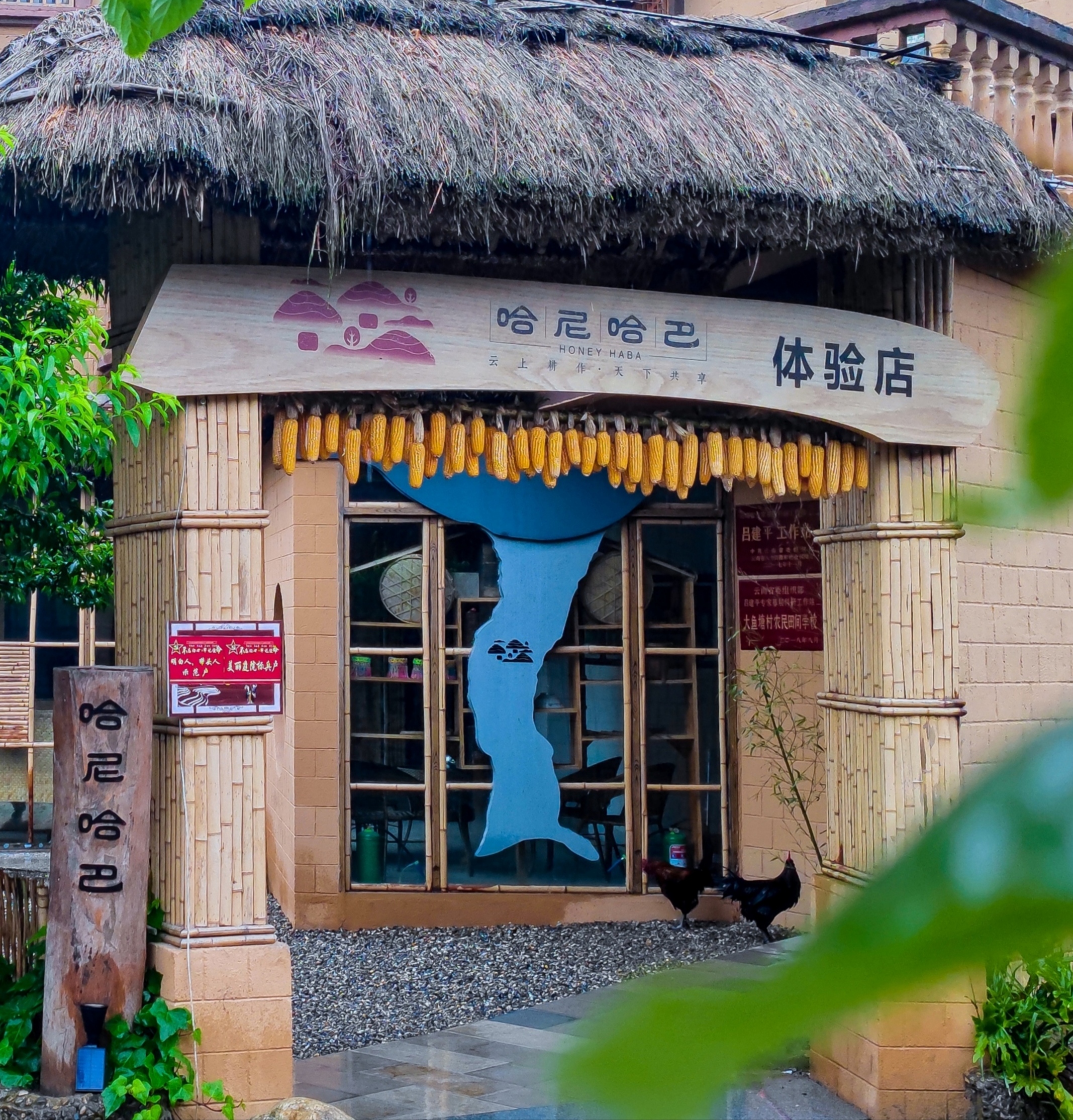 哈尼哈巴 | 你是不是也好奇，哈尼哈巴到底是什么意思？