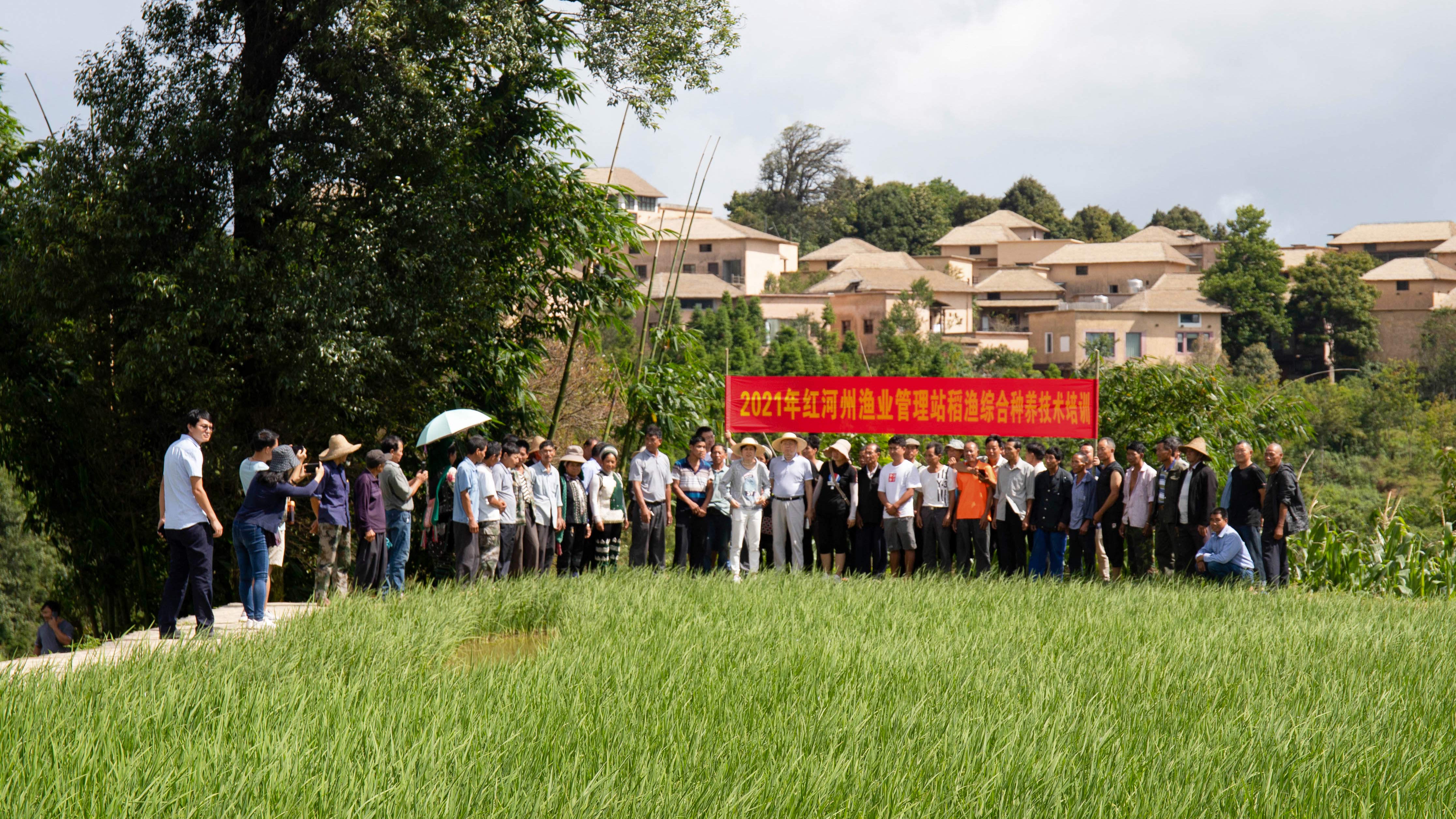 2021年红河州渔业管理站稻渔综合种养技术培训