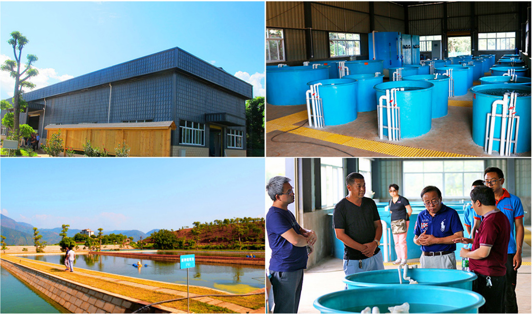 生态种养 生态种养