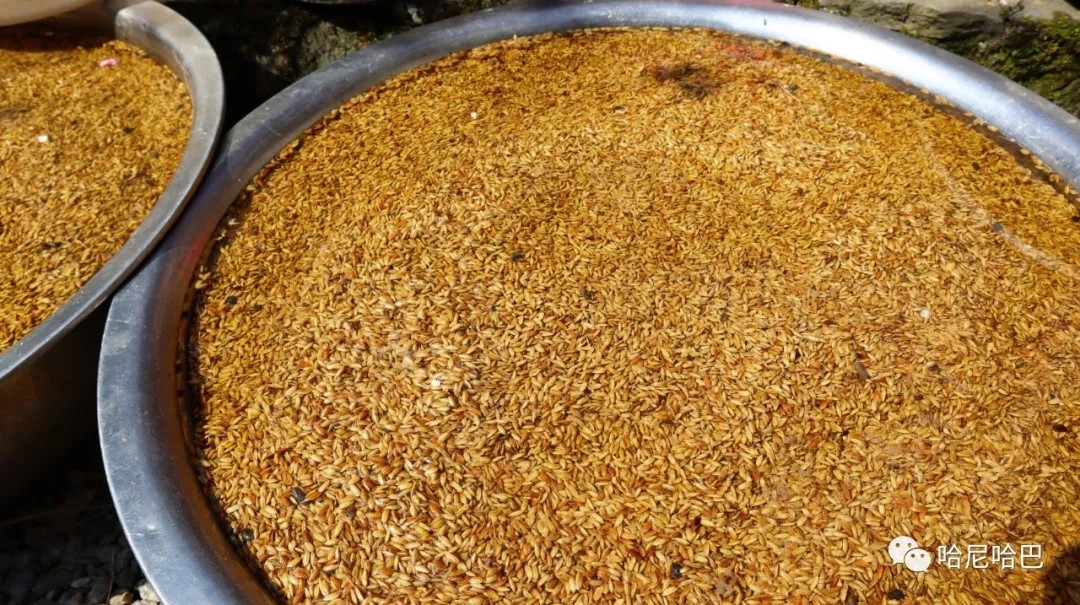 1617243704100486.jpg 1617243704100486.jpg