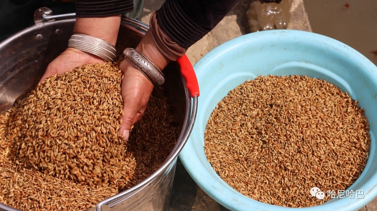 1617243705141256.jpg 1617243705141256.jpg