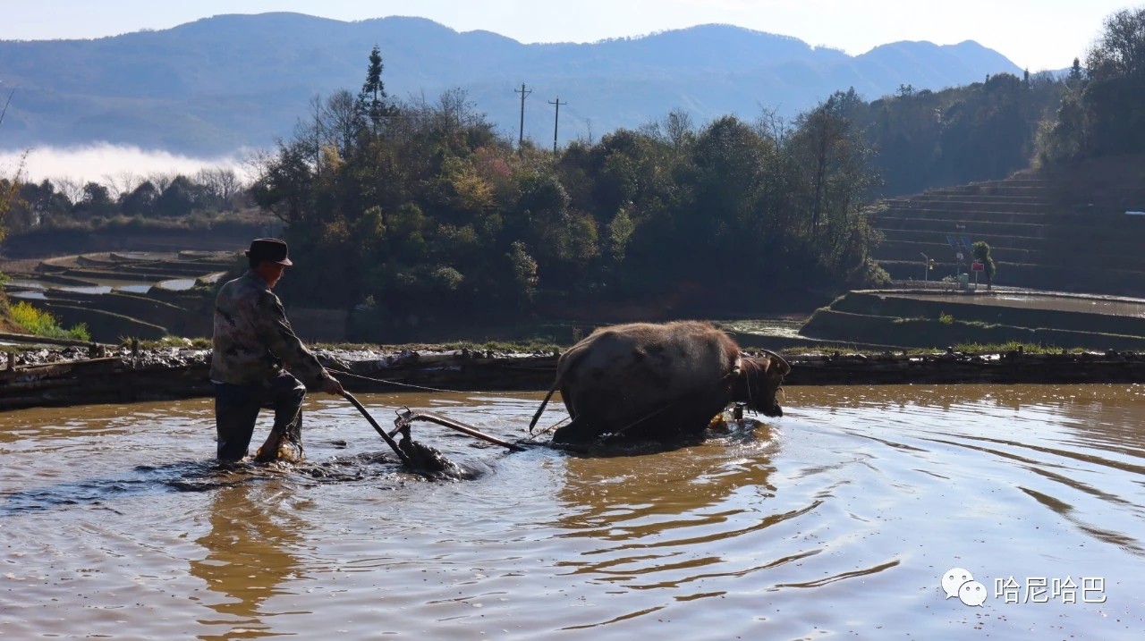 1617244321157378.jpg 1617244321157378.jpg