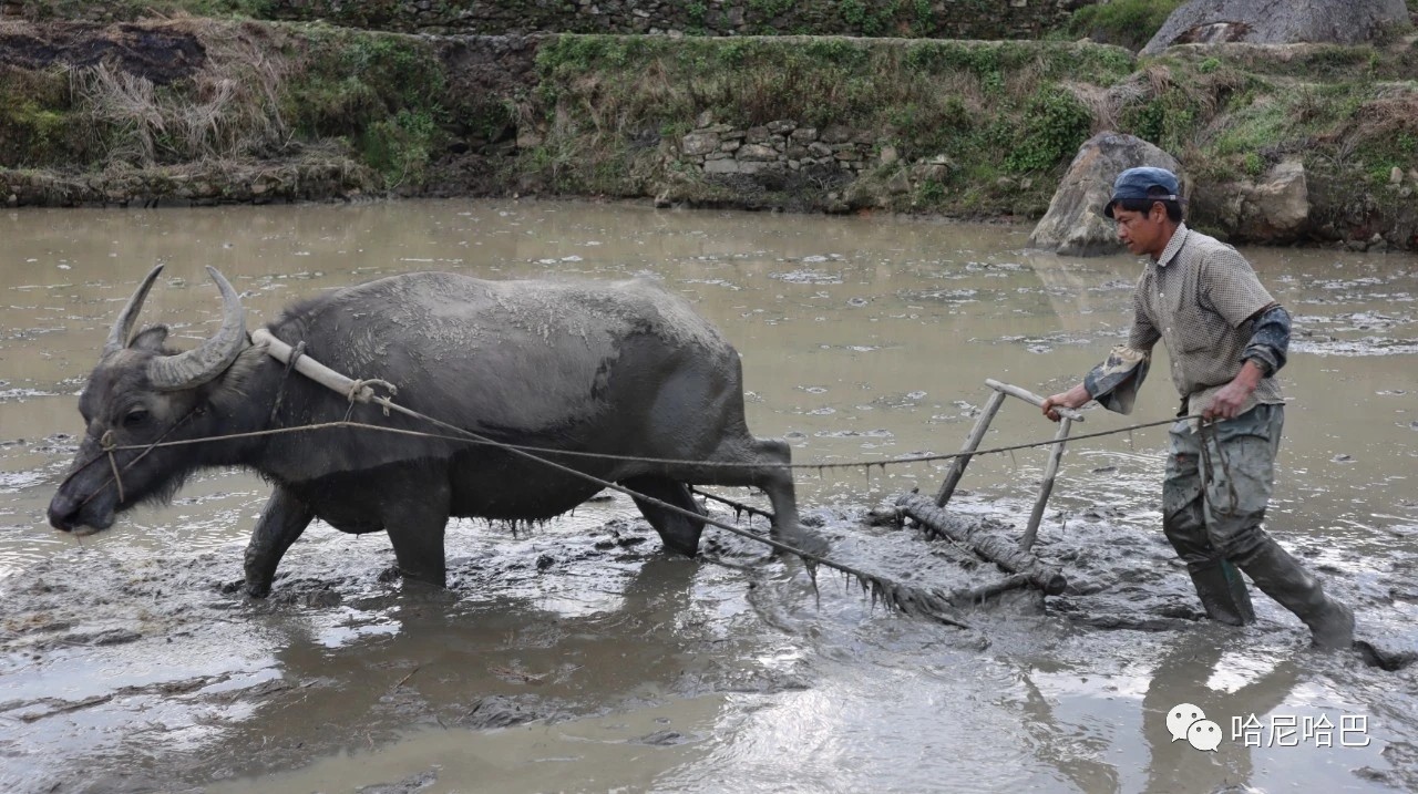 1617244430135725.jpg 1617244430135725.jpg