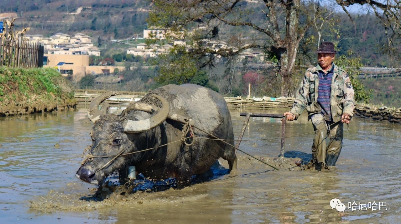 1617244577147193.jpg 1617244577147193.jpg