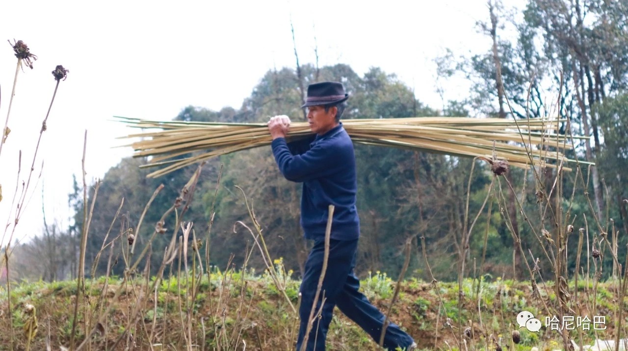 1617244833200042.jpg 1617244833200042.jpg