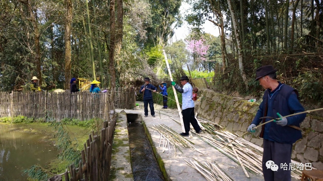 1617244833627179.jpg 1617244833627179.jpg