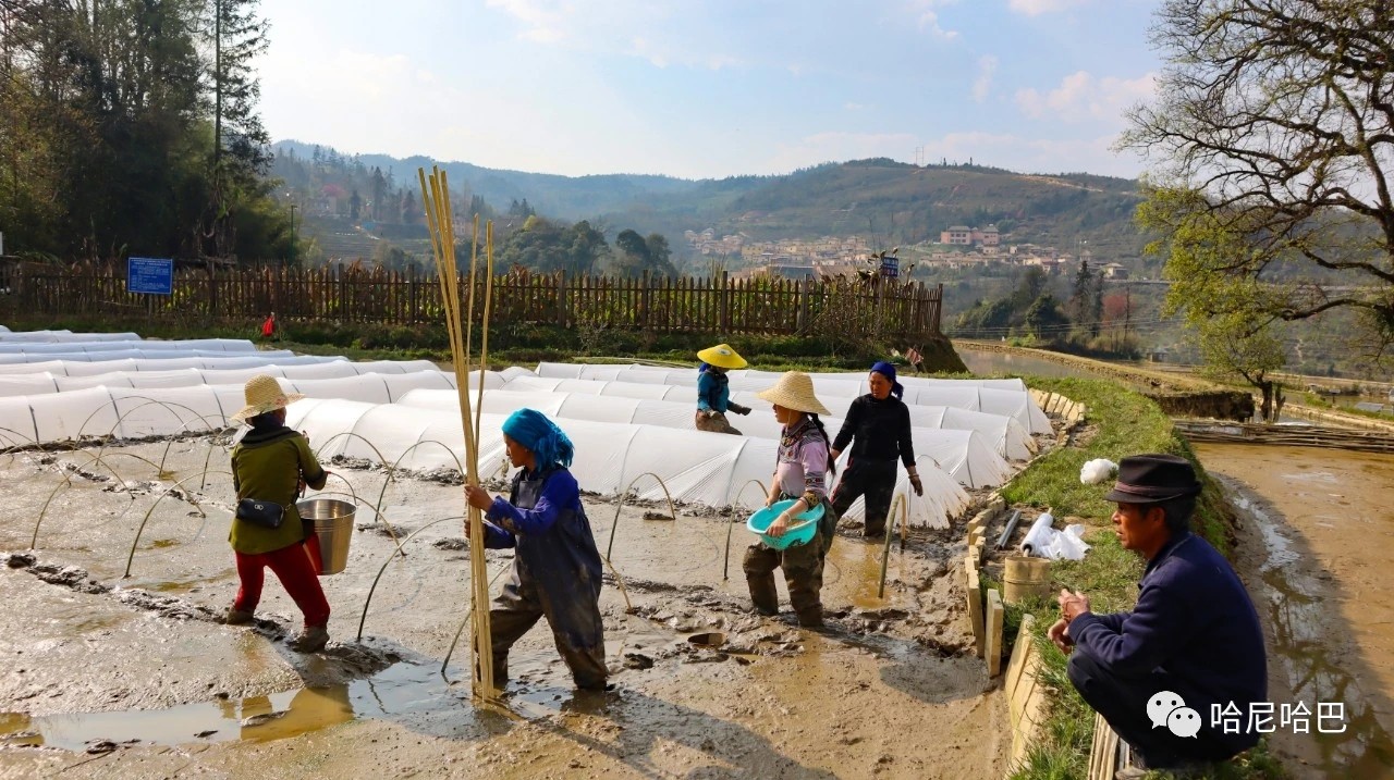 1617245006164082.jpg 1617245006164082.jpg