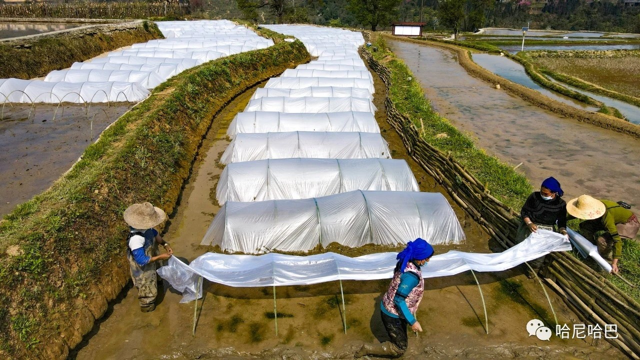 1617245007176383.jpg 1617245007176383.jpg