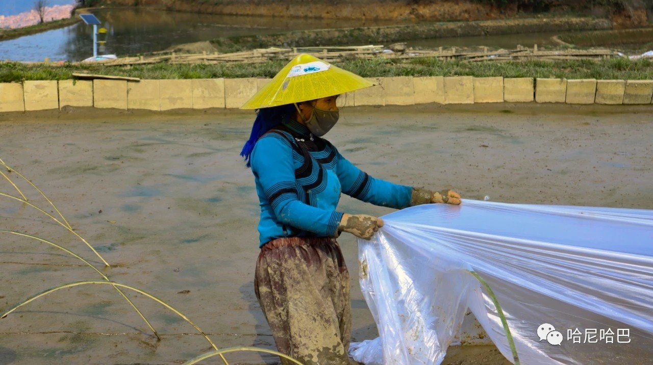 1617245007236126.jpg 1617245007236126.jpg