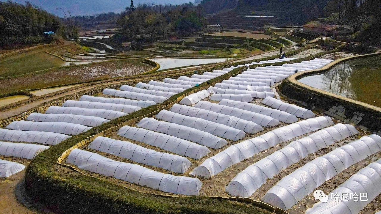 1617245007803799.jpg 1617245007803799.jpg