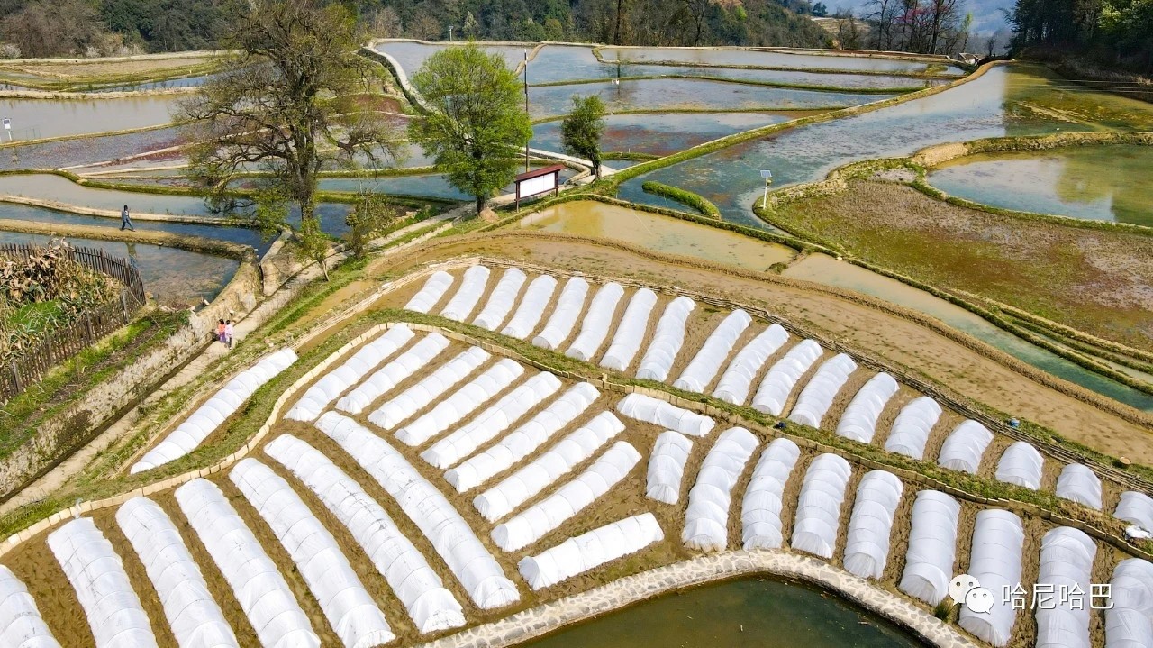 1617245456170360.jpg 1617245456170360.jpg