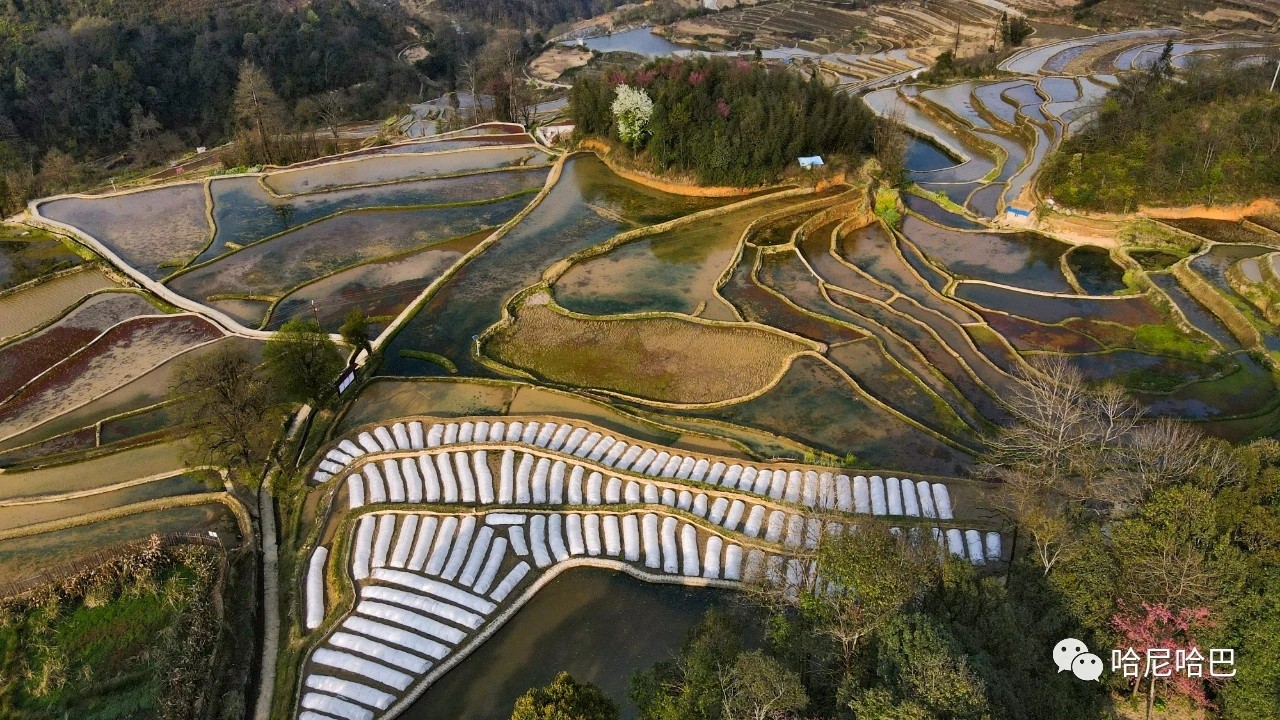 1617245456212828.jpg 1617245456212828.jpg