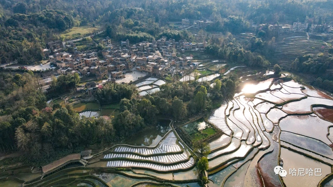 1617245456991232.jpg 1617245456991232.jpg