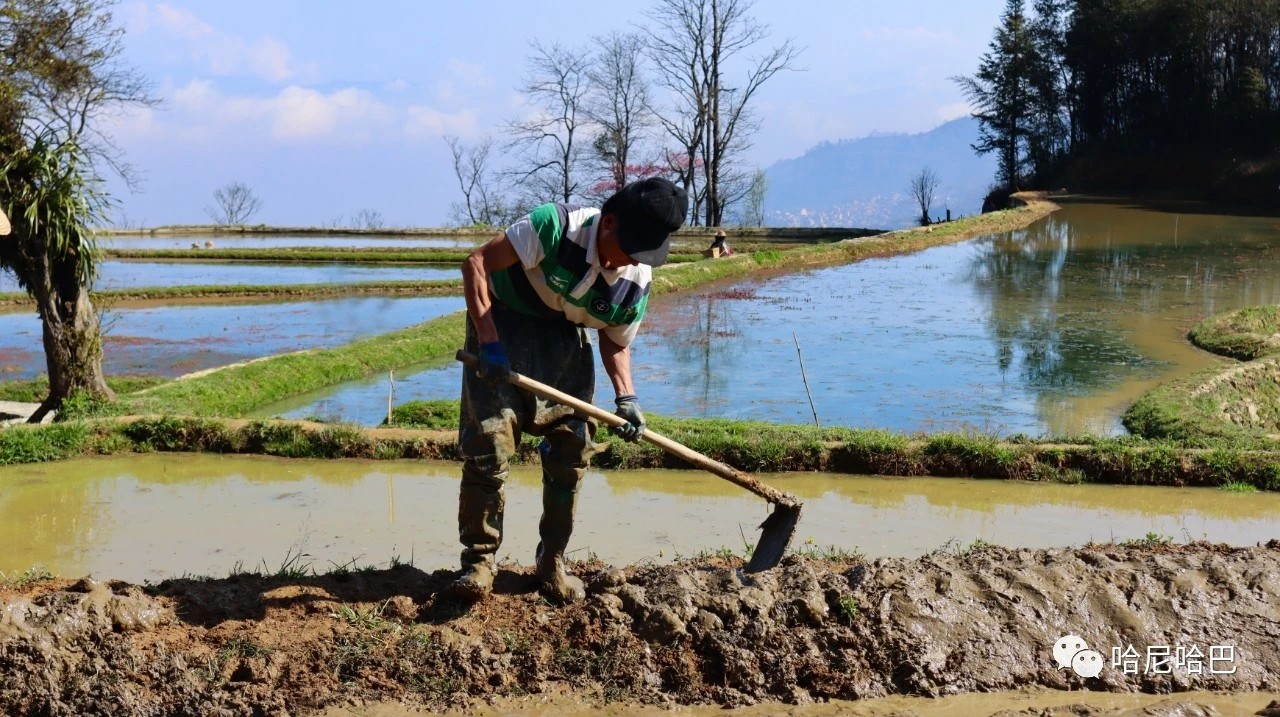 1617246391160818.jpg 1617246391160818.jpg