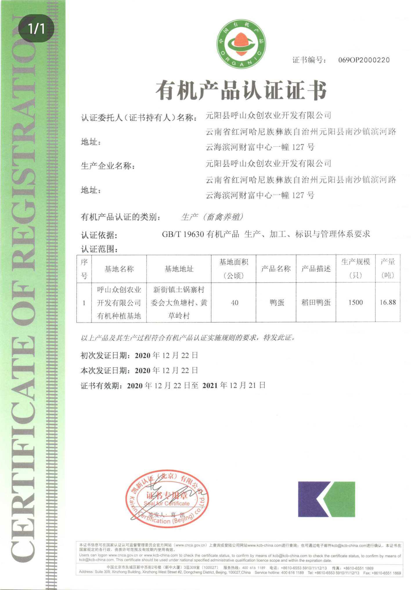 哈尼哈巴 | 千年梯田喂养的梯田鸭，鸭蛋品质看得见！