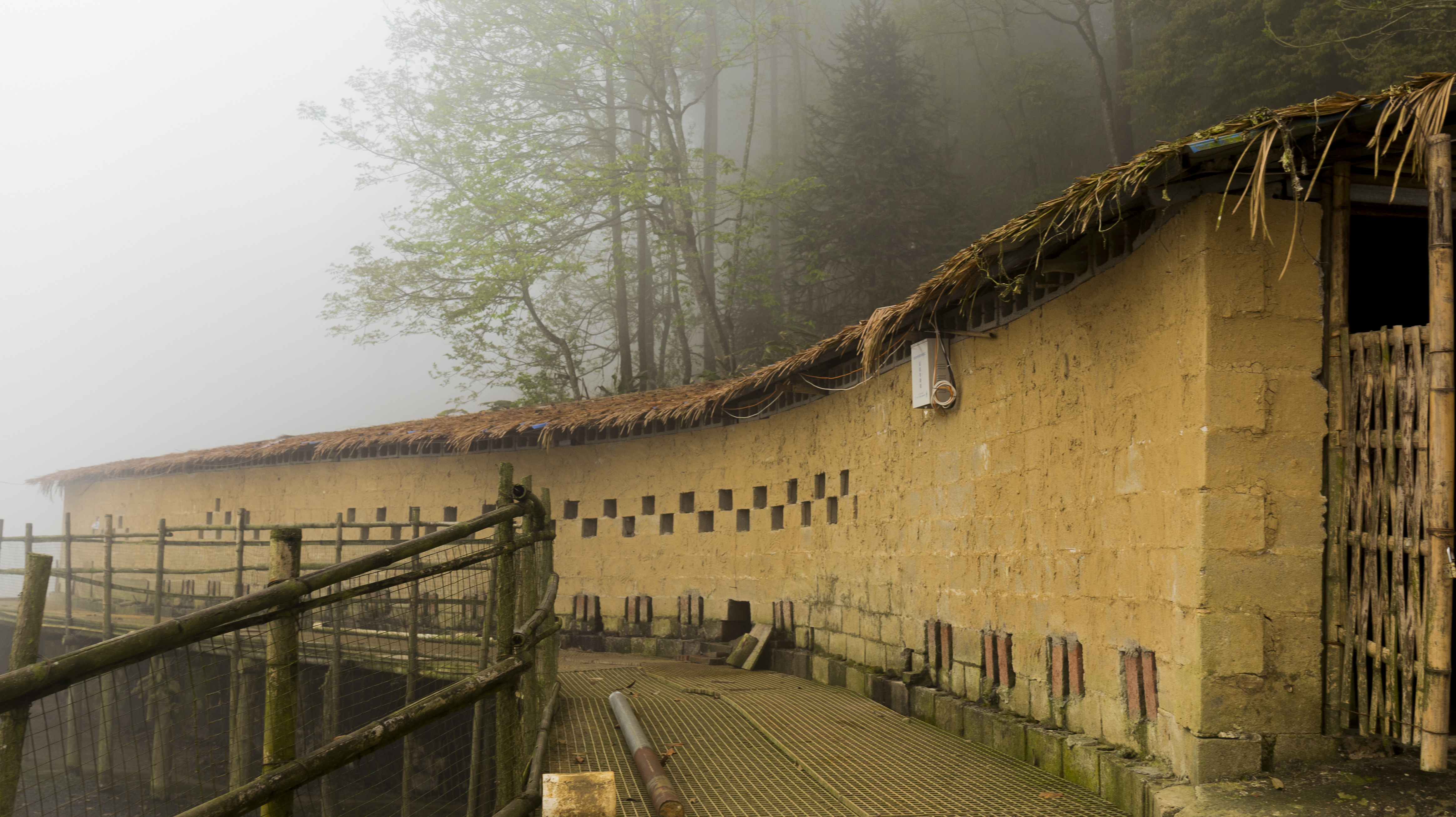 哈尼哈巴 | 千年梯田喂养的梯田鸭，鸭蛋品质看得见！