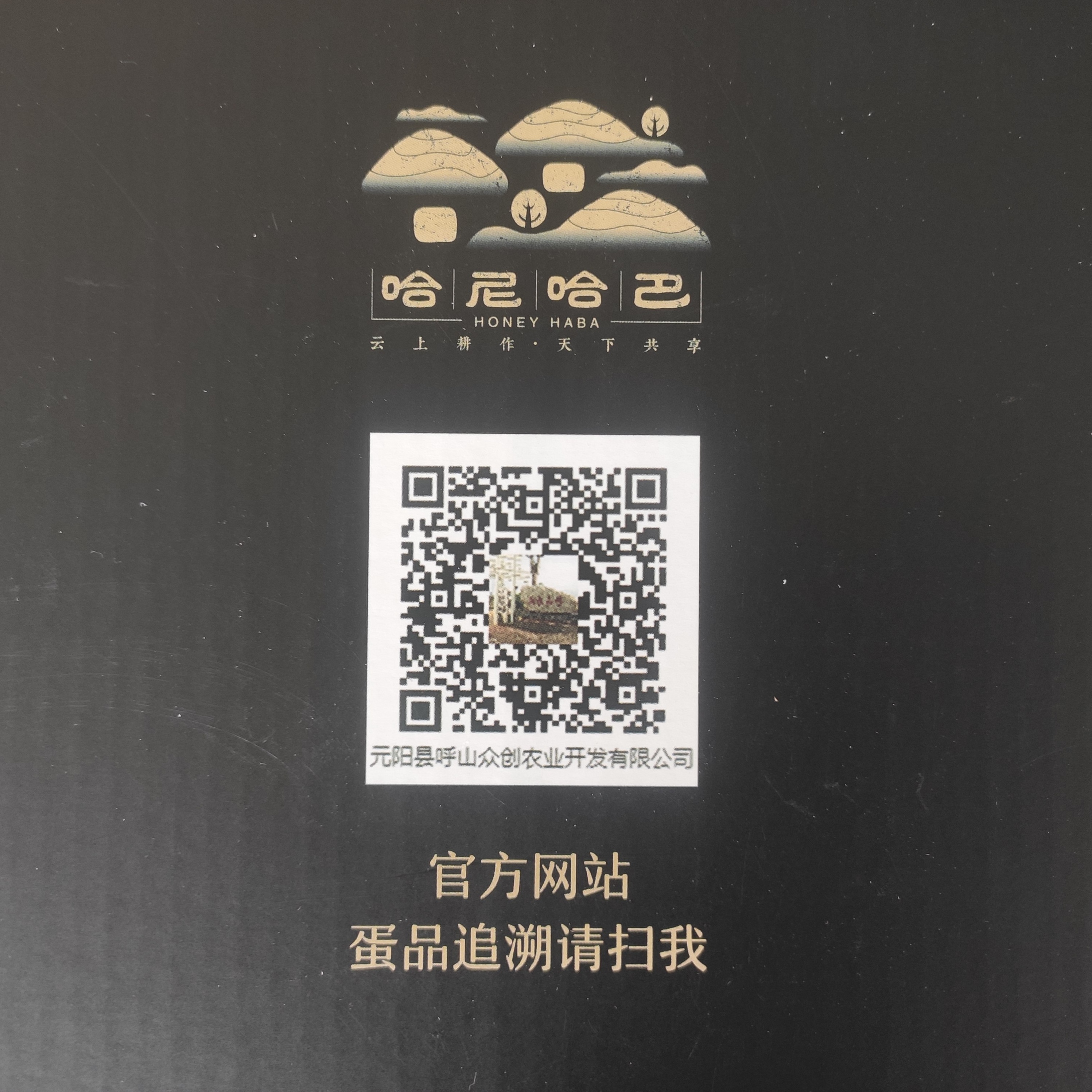 哈尼哈巴 | 千年梯田喂养的梯田鸭，鸭蛋品质看得见！