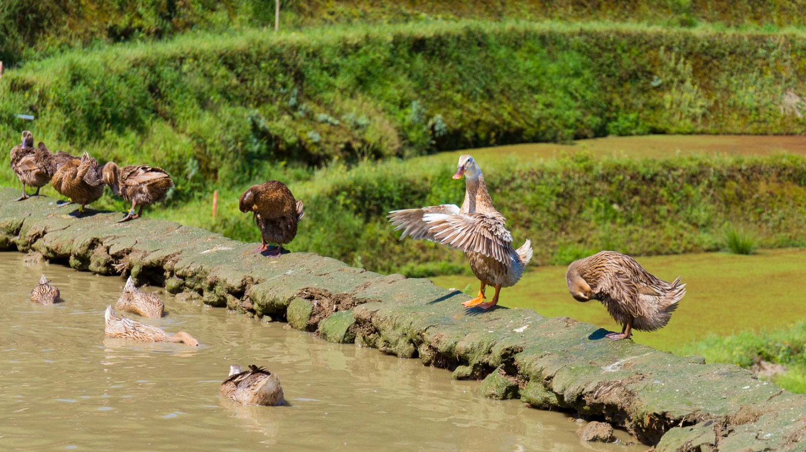 1618924778182321.jpg 1618924778182321.jpg