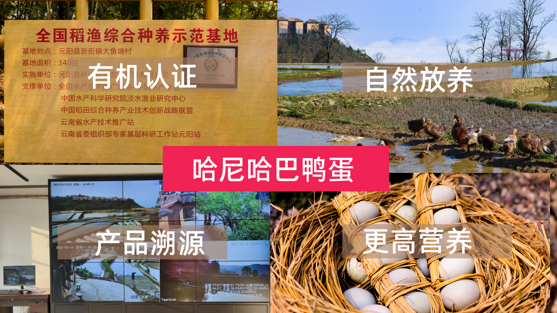 1618924884174804.png 1618924884174804.png