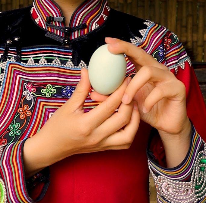 1618925942110559.jpg 1618925942110559.jpg