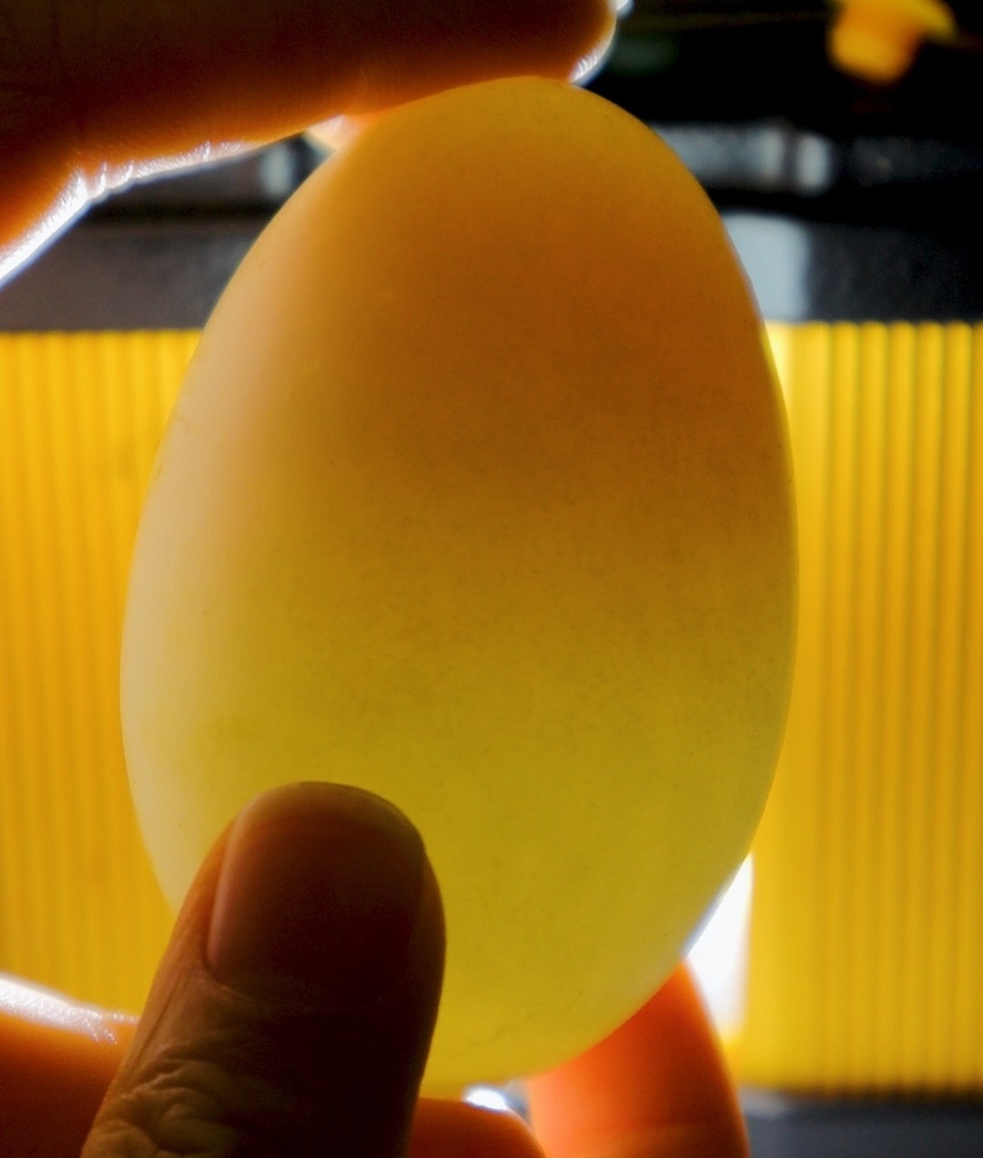 1618926033171651.jpg 1618926033171651.jpg