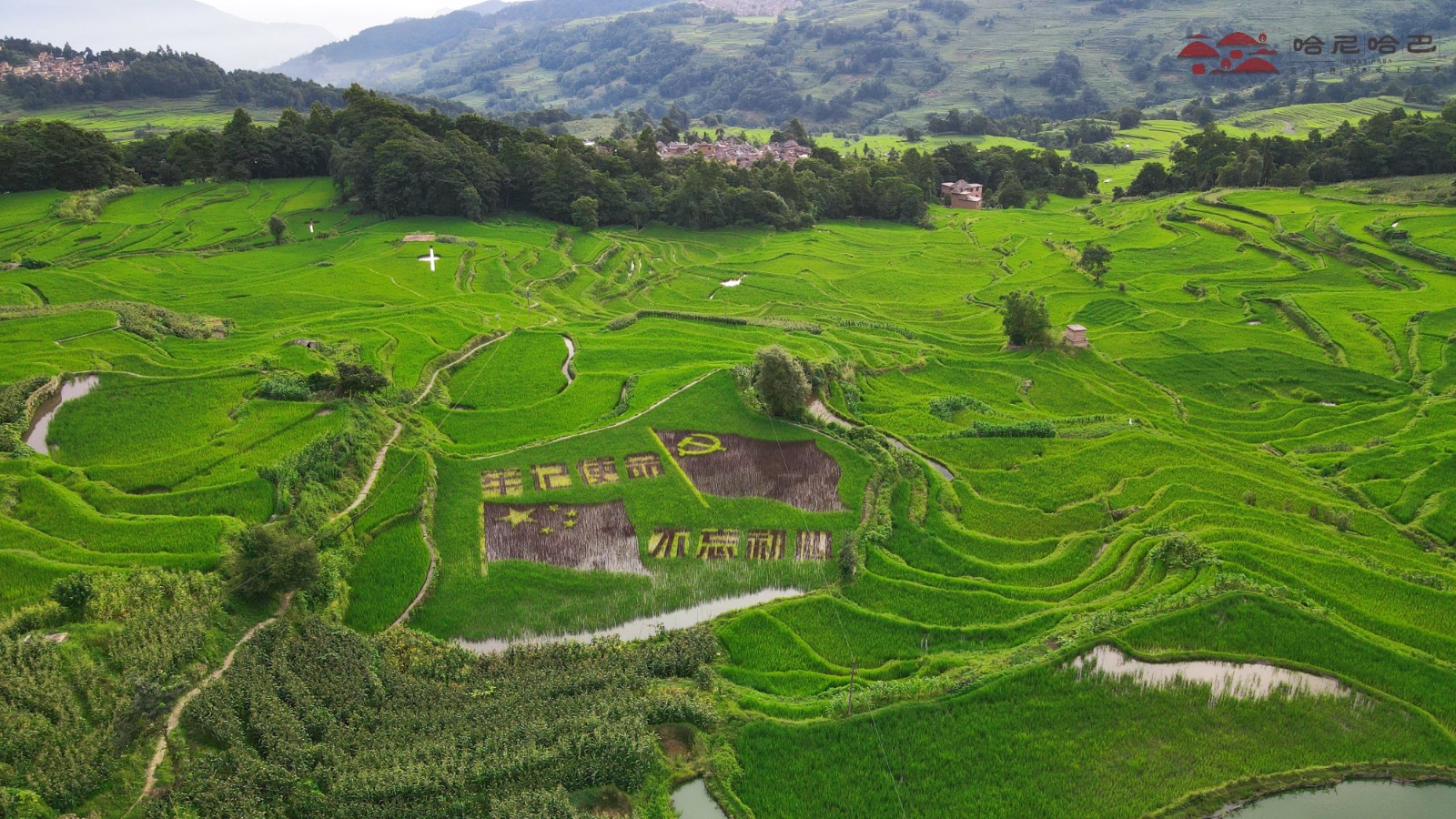 1627611507870318.jpg 1627611507870318.jpg