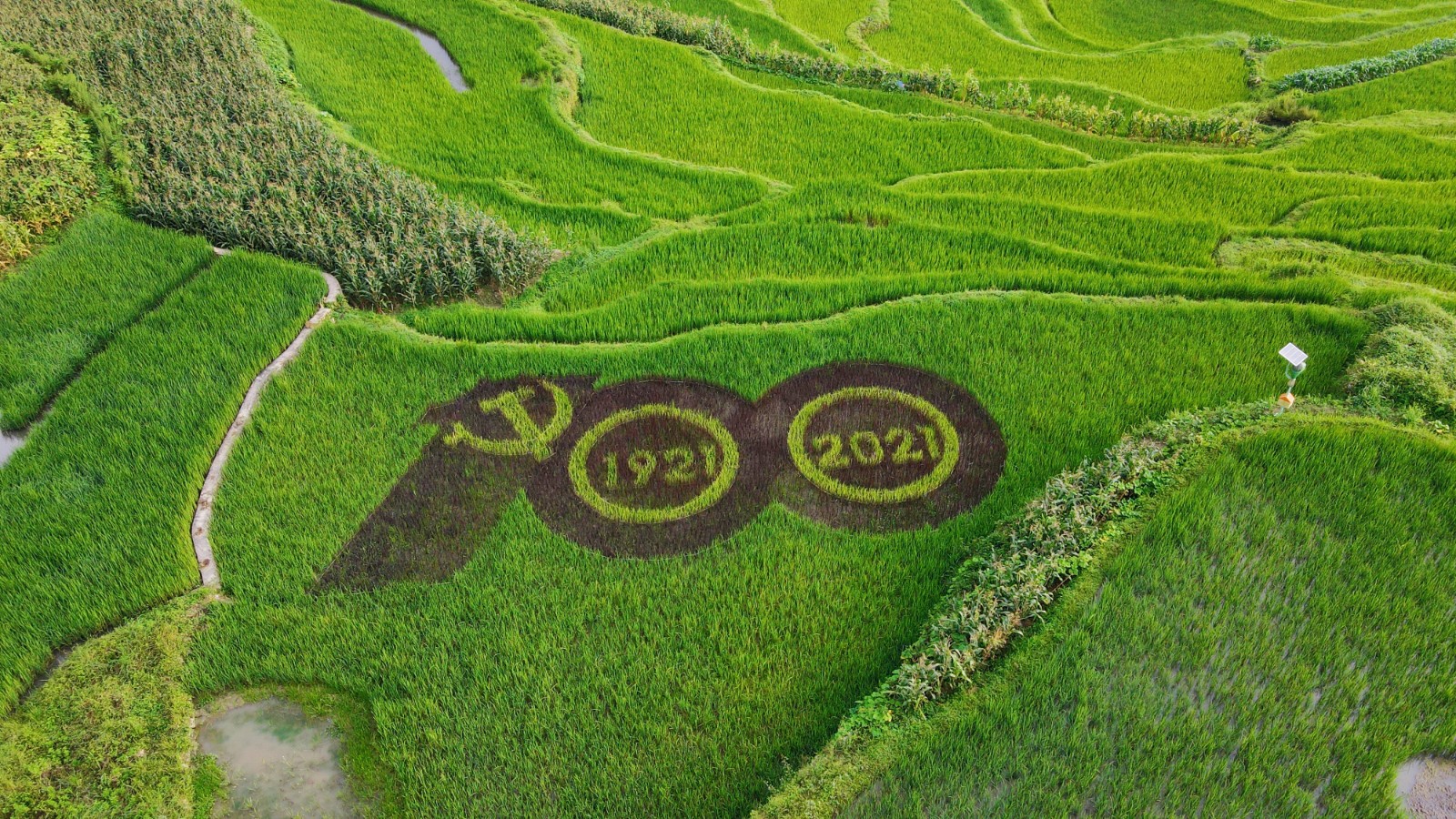 1627611955144408.jpg 1627611955144408.jpg