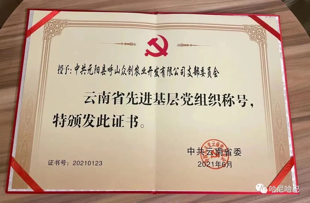 1627612315106332.jpg 1627612315106332.jpg