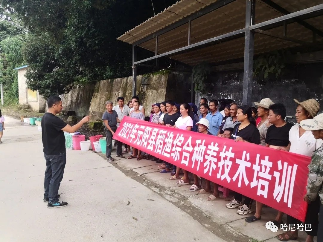 1627612425210206.jpg 1627612425210206.jpg