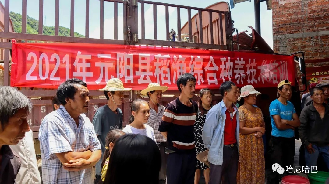 1627612425745865.jpg 1627612425745865.jpg