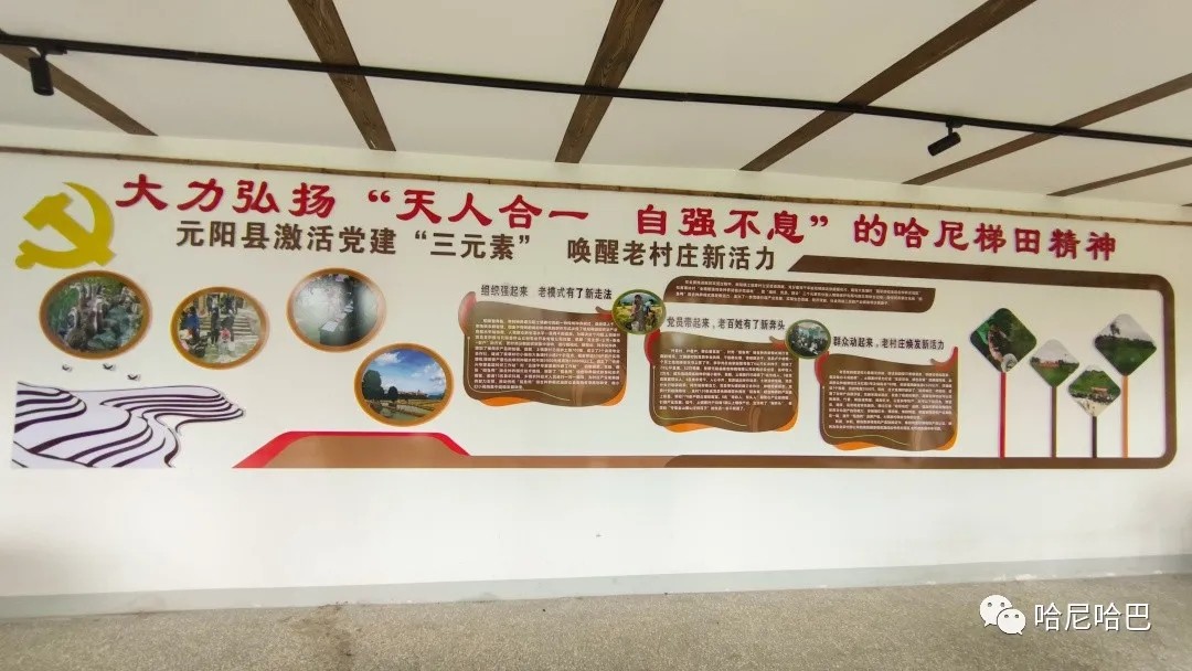 1627614245162647.jpg 1627614245162647.jpg