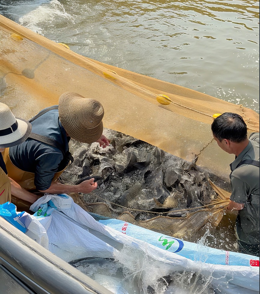 元阳县呼山众创水产养殖基地——优质水产直供,诚信合作共赢 元阳县呼山众创水产养殖基地——优质水产直供,诚信合作共赢